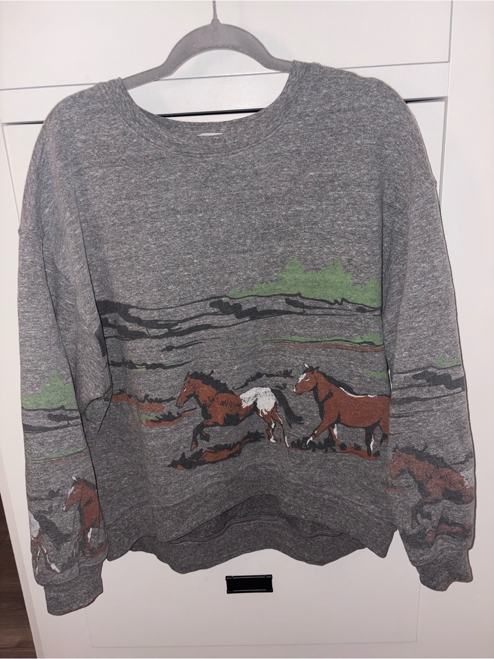 Daydreamer Gray Horse Graphic Sweatshirt with Earth Tones - Picture 1 of 2